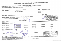 /album/dokumenty/rtg-kycli-png/